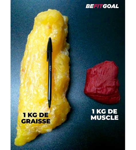 1kg Graisse Vs 1 Kg Muscle Gym Hub - 1 kg muscle vs 1kg graisse 👌 | Facebook